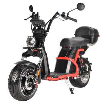 Ремонт техники Citycoco